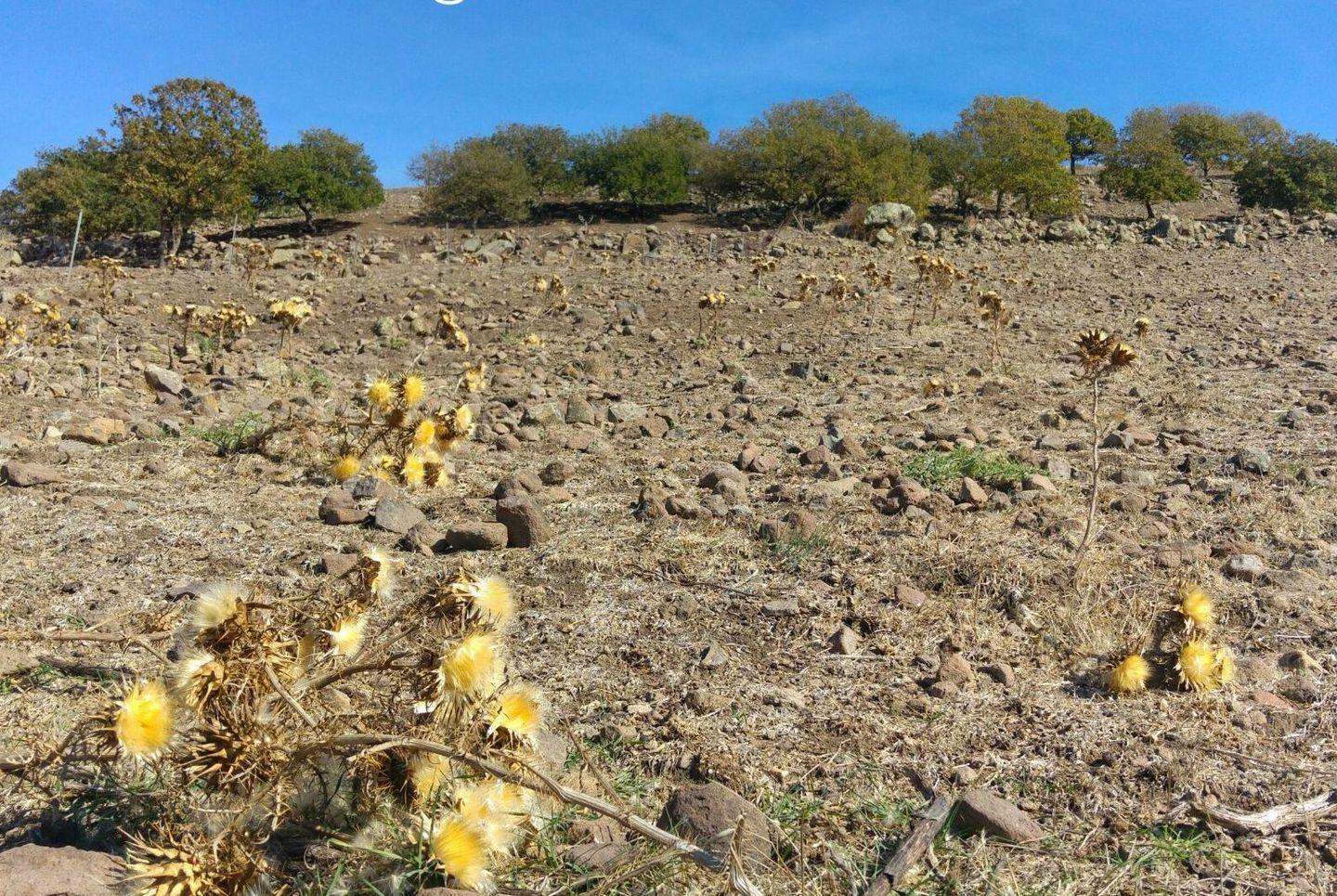 Argea, la beffa dei ristori “prescritti” 