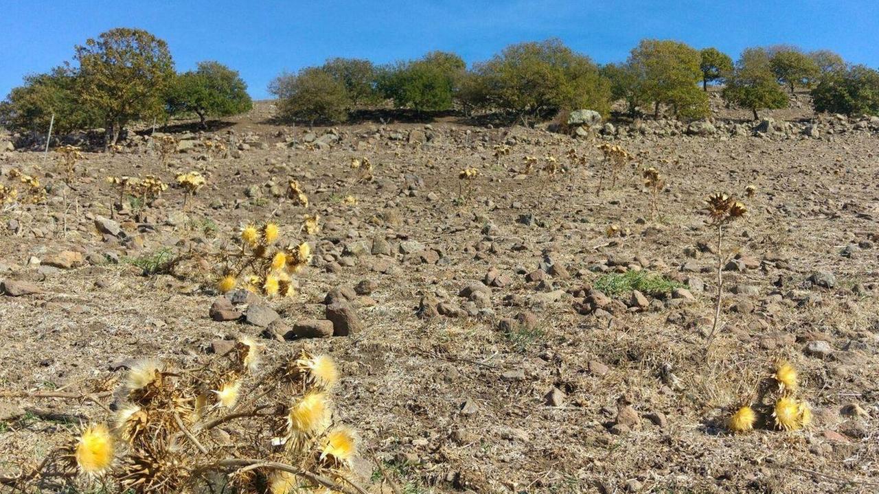 Argea, la beffa dei ristori “prescritti”