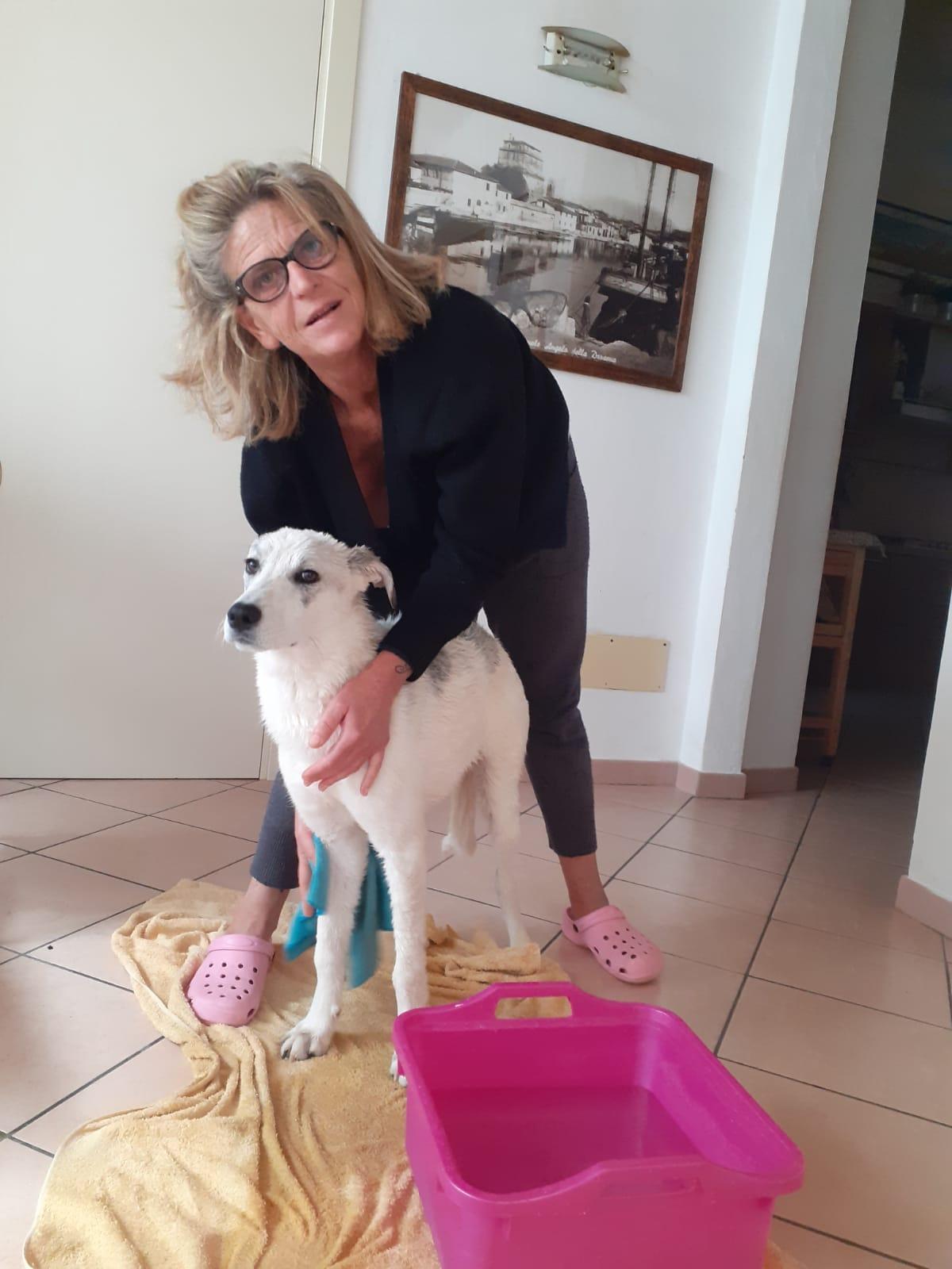 L’ultimo saluto a “zia Lucy”, scomparsa a 56 anni: «Non fiori, ma donazioni» 