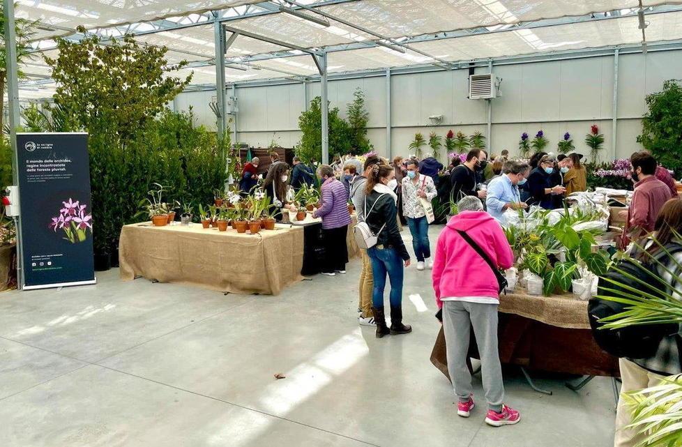 Tanta gente alla mostra delle orchidee da Mati 1909