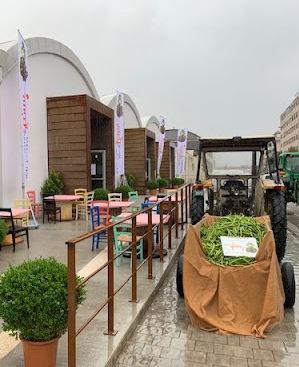 Il flop del mercato a Chinatown Pochi clienti, chiude in anticipo 
