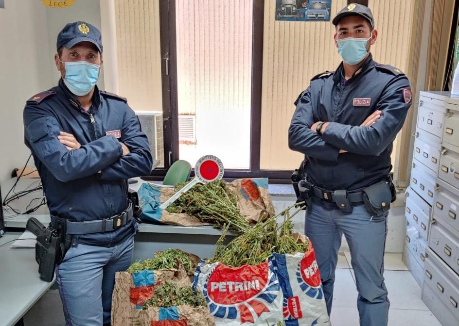 Nei sacchi di mangime 23 chili di droga 