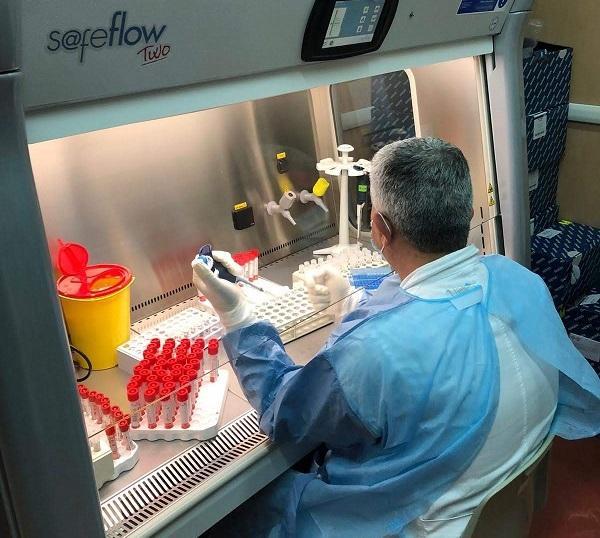 I virologi riuniti ad Alghero: «Attenzione ad epatite e Hiv» 