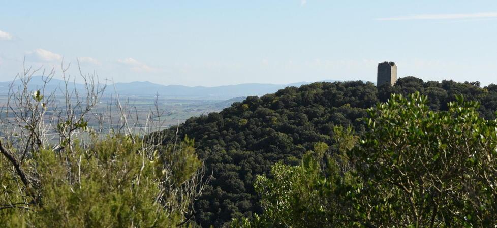 La torre della Bella Marsilia nella tenuta Vivarelli Colonna all’interno del Parco della Maremma