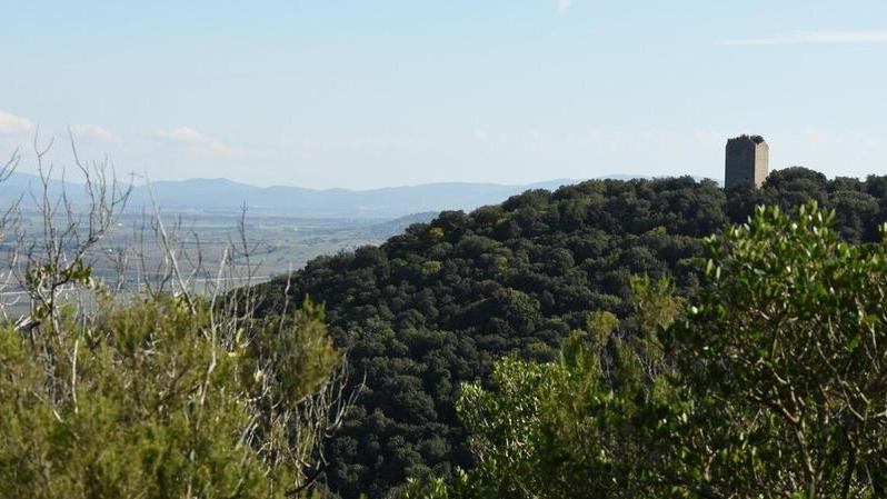 La torre della Bella Marsilia nella tenuta Vivarelli Colonna all’interno del Parco della Maremma