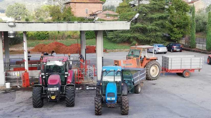 Produzione in calo del 40 per cento Ma il vino della Cantina è di ottima qualità