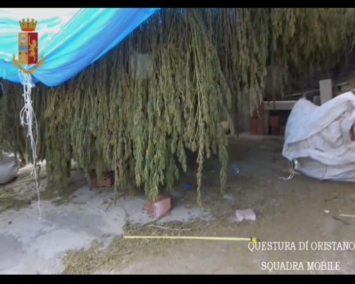 Sulla Nuova in edicola mercoledì 20, emergenza droga in Sardegna: maxi sequestri in tutta l'isola