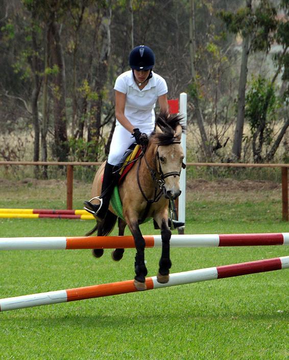 Equitazione paralimpica, campionati italiani venerdì