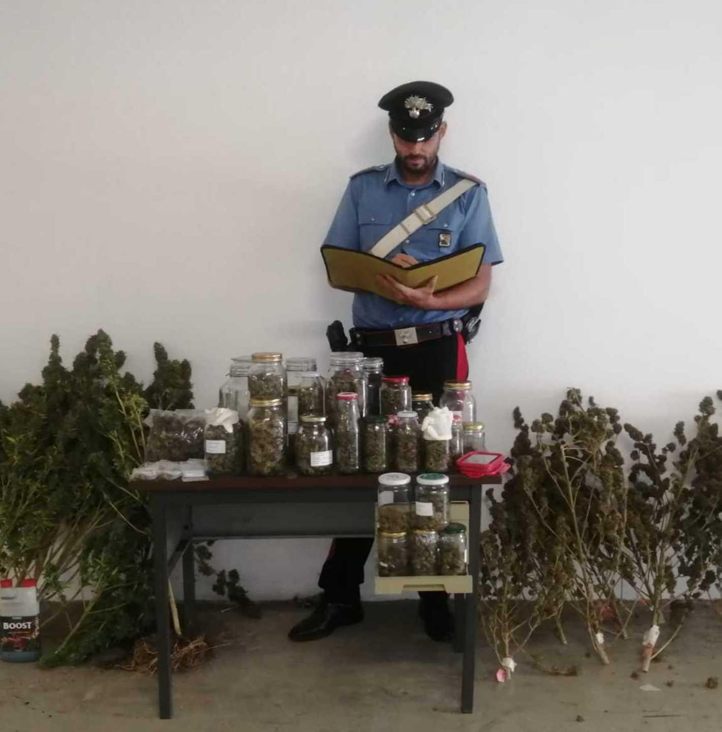 Un chilo di marijuana nei vasetti arrestato un imprenditore 
