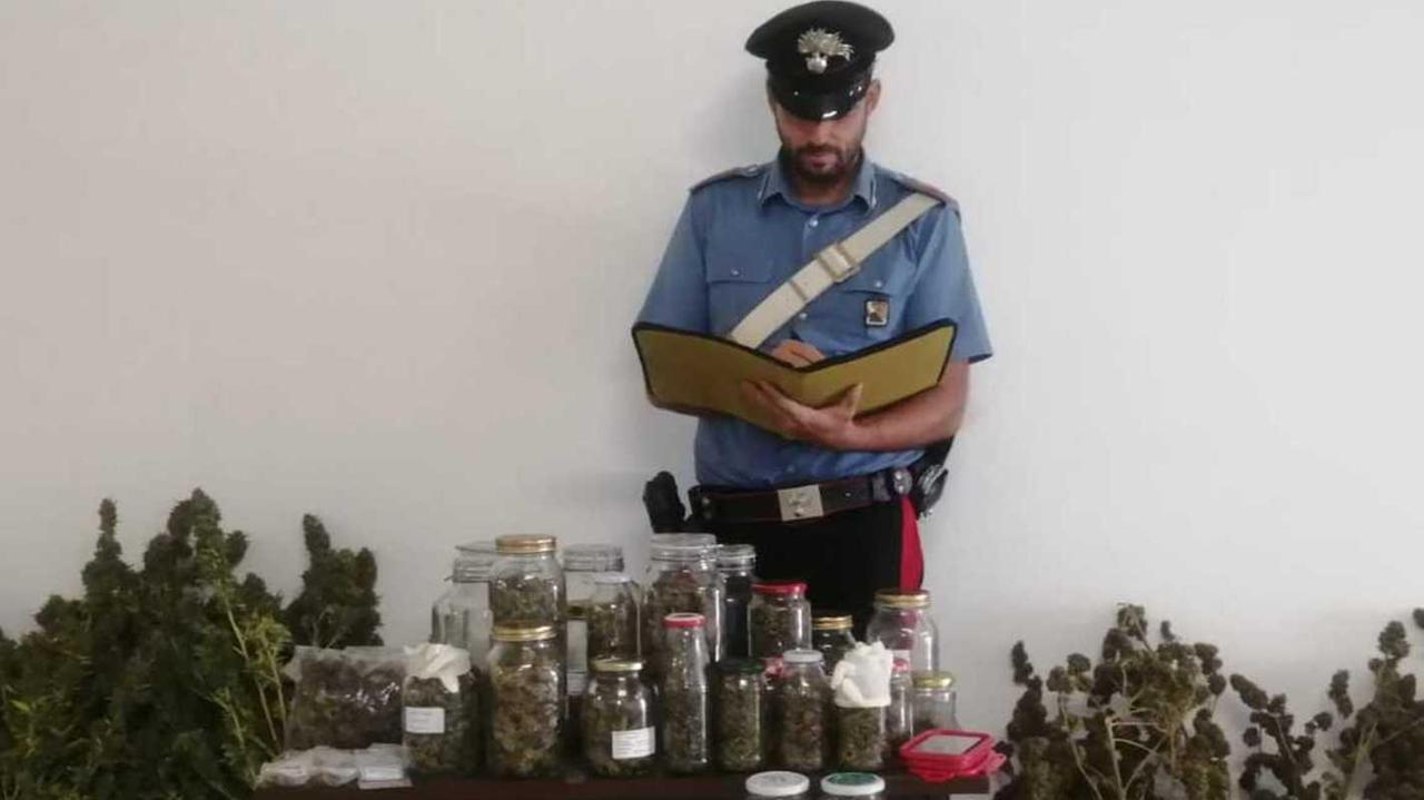 Un chilo di marijuana nei vasetti arrestato un imprenditore 