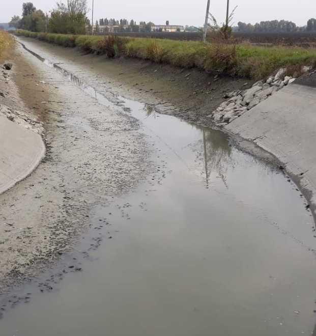Santa Vittoria, moria di pesci nel canale senz’acqua 