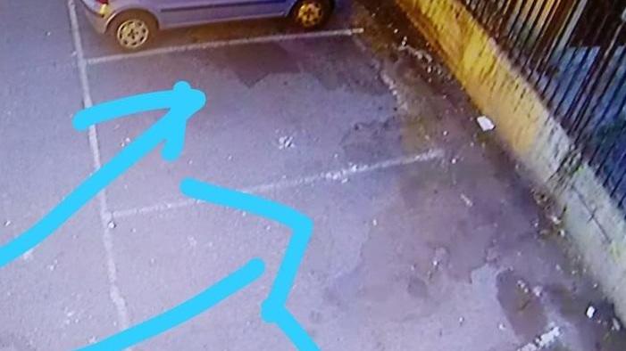 Servizi igienici chimici nei luoghi della movida