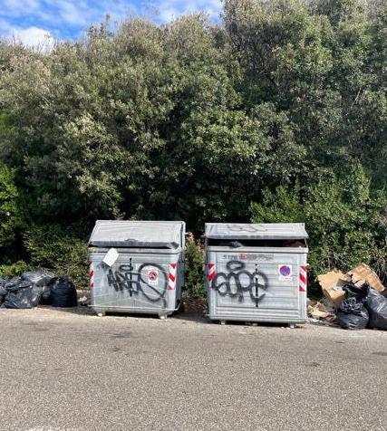 Rifiuti abbandonati vicino ai cassonetti