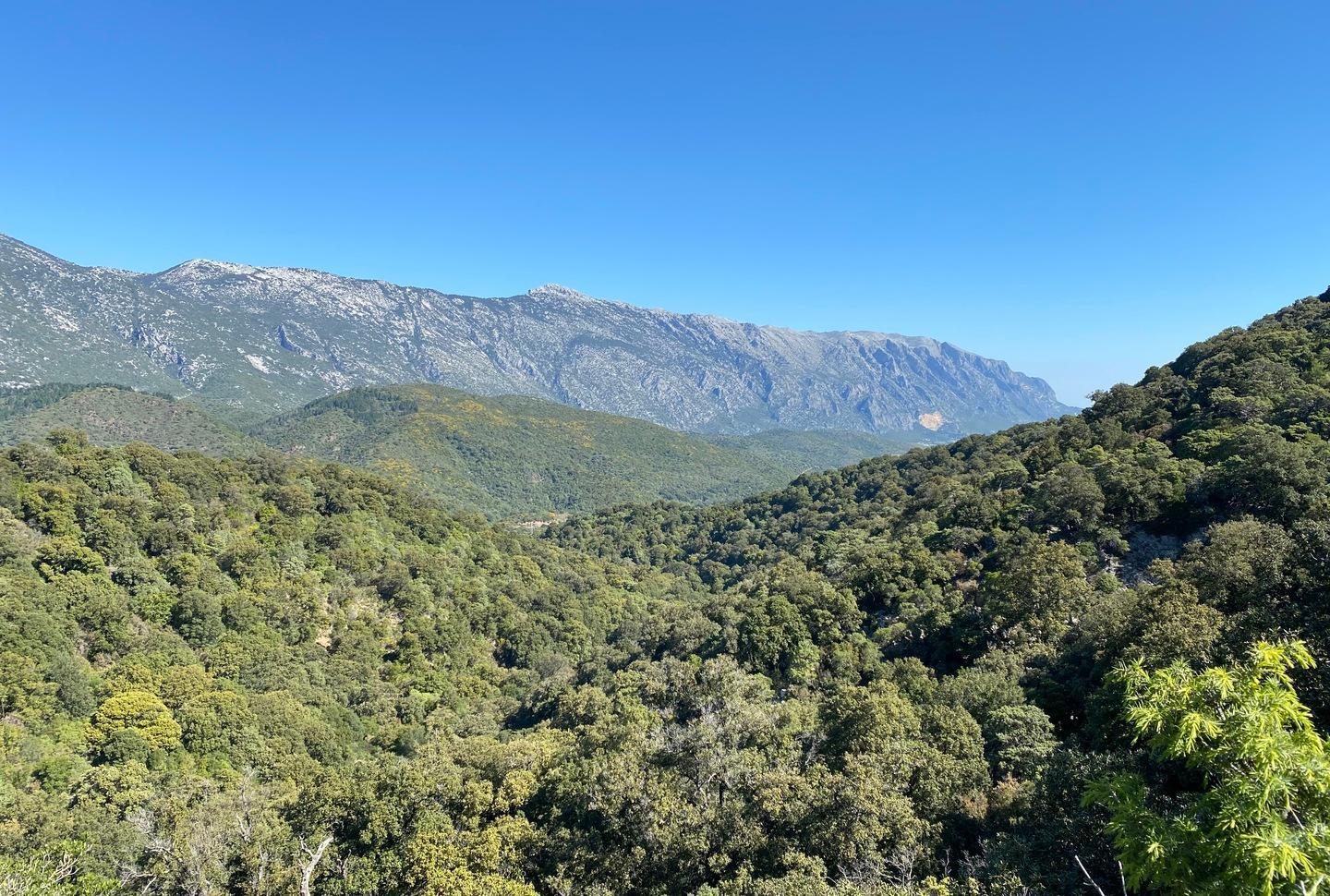 Un progetto per “Su padente mannu” 