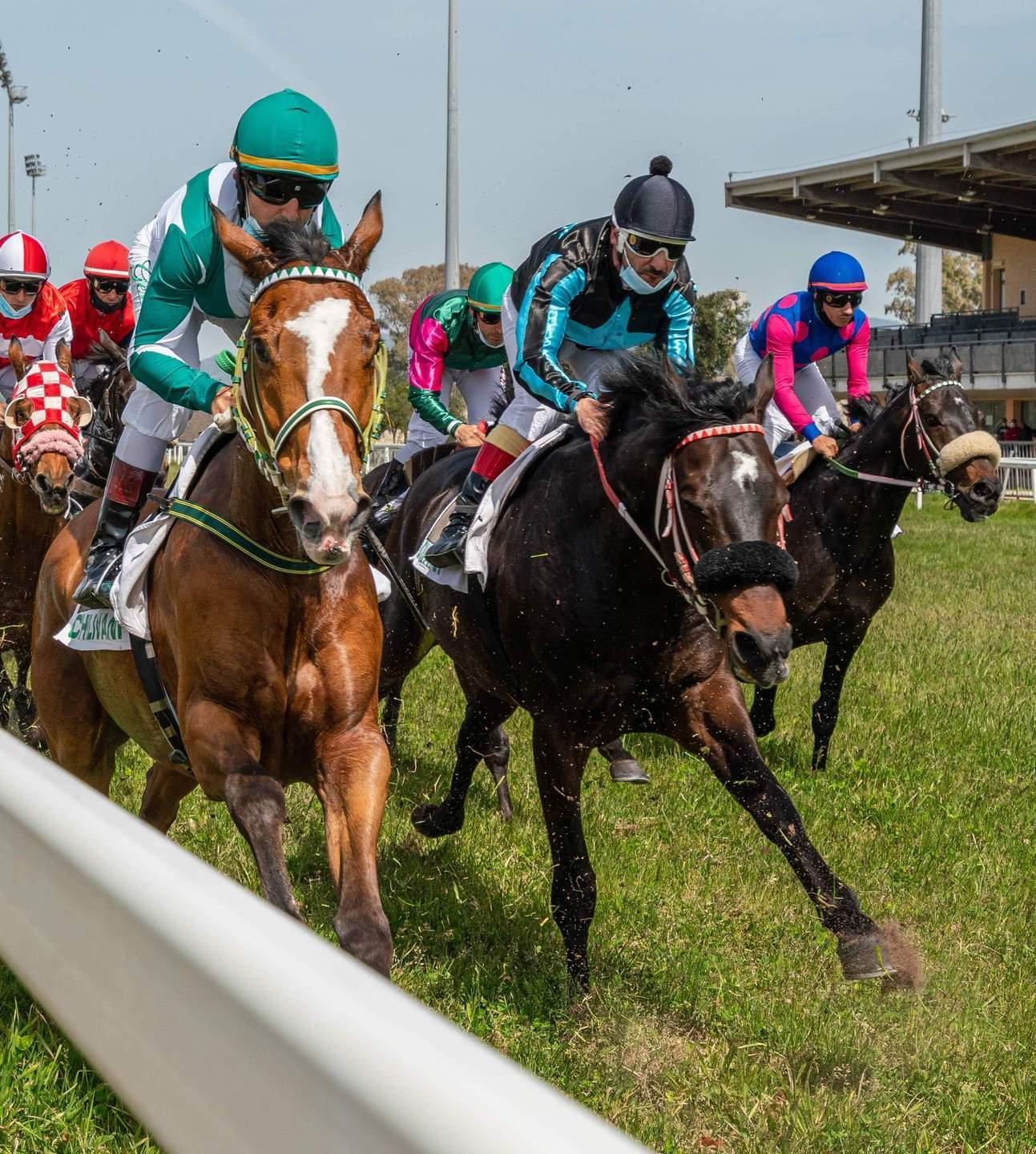 Ippodromo di Chilivani, una stagione al galoppo 