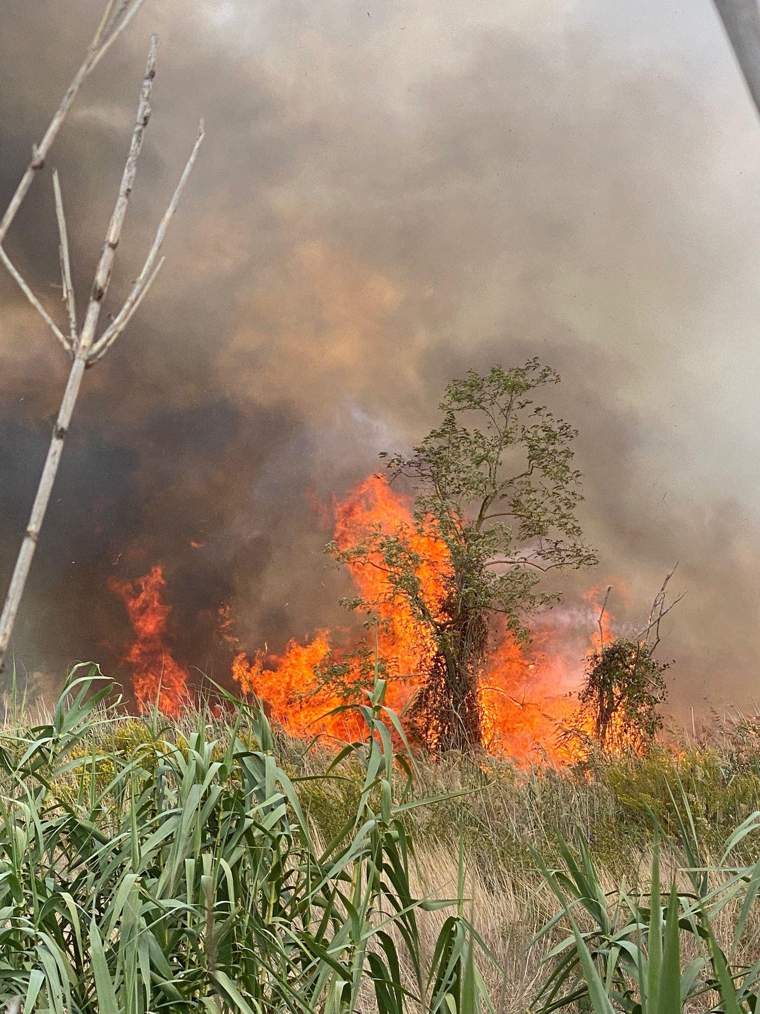 Le fiamme vicino al Centro militare veterinario