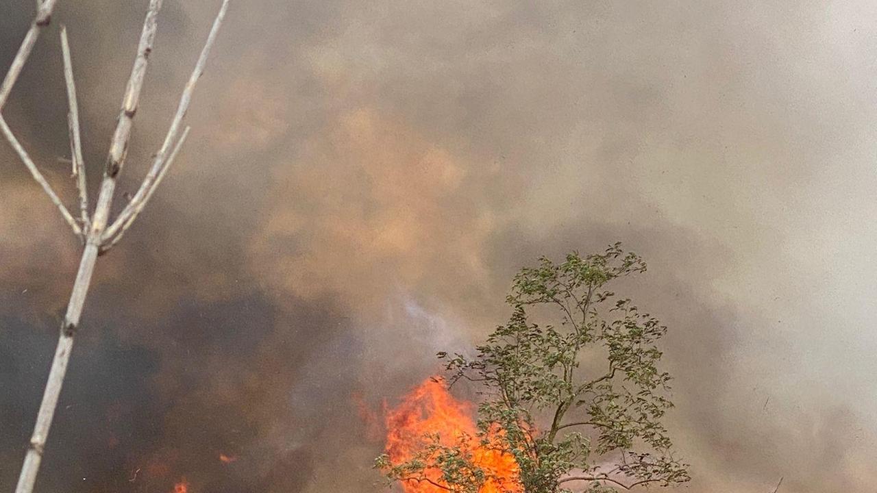 Le fiamme vicino al Centro militare veterinario