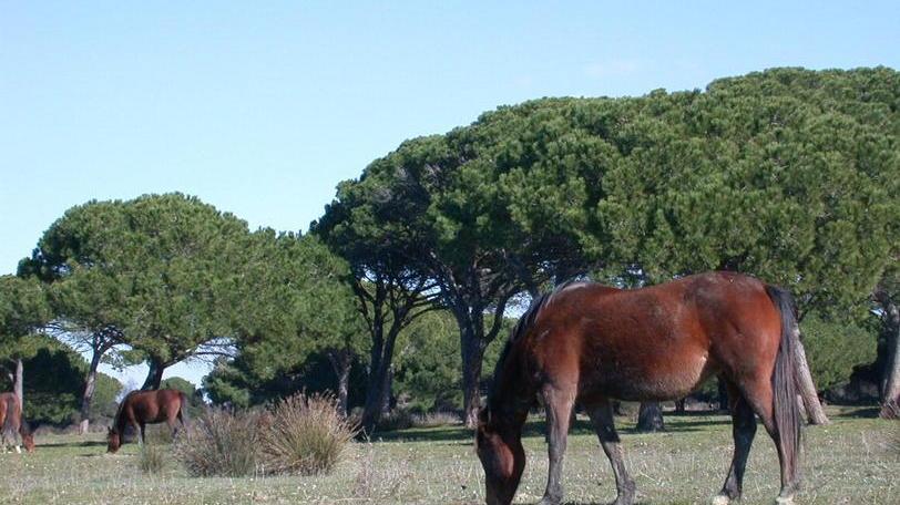 Presidente del Parco «Cinelli tenga conto delle necessità degli agricoltori»