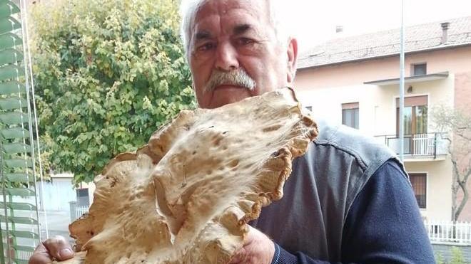 Fungo gigante trovato da Remo a Castelnuovo