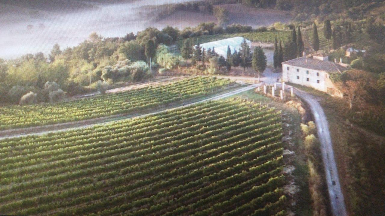 Il podere gestito dalla Poggio Nicchiaia Società Agricola Srl