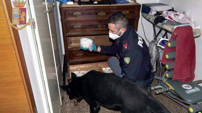 Supermarket della droga a Massa: dieci arresti e 5mila dosi sequestrate