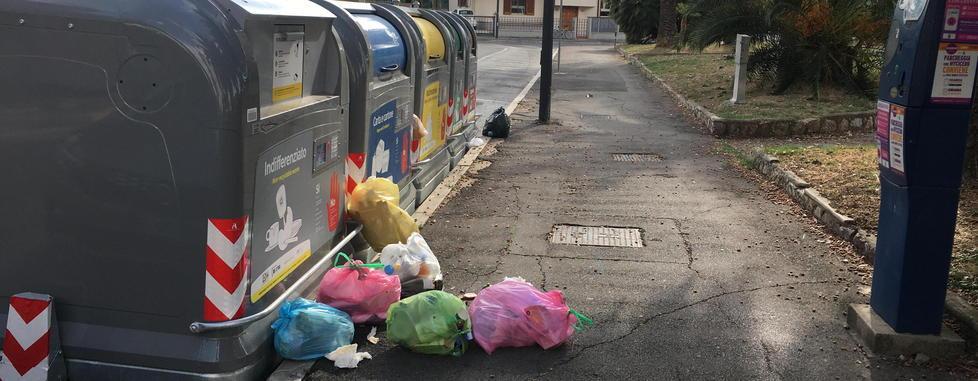 Cassonetti con la scheda Spuntano sacchi in terra