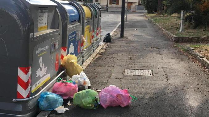 Cassonetti con la scheda Spuntano sacchi in terra