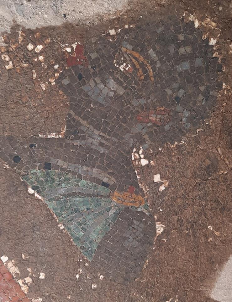 Sarà “svelato” il mosaico con i busti di neri che orna la piccola esedra della sala calda