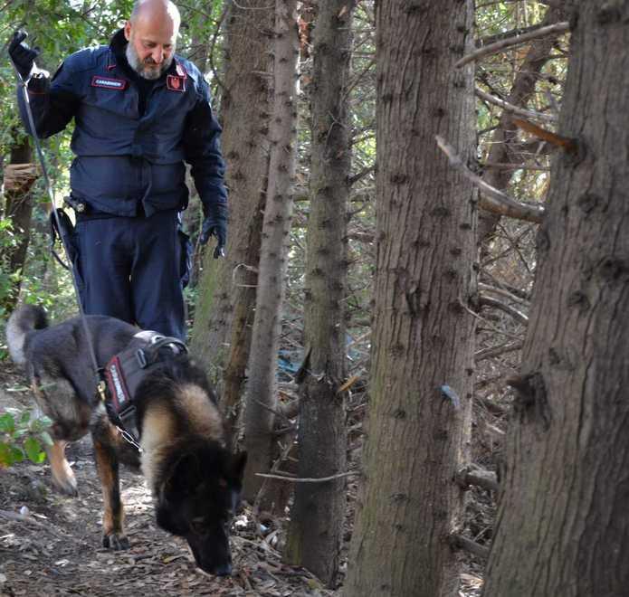 La cava dove dopo ogni arresto gli spacciatori tornano a prendersi la piazza