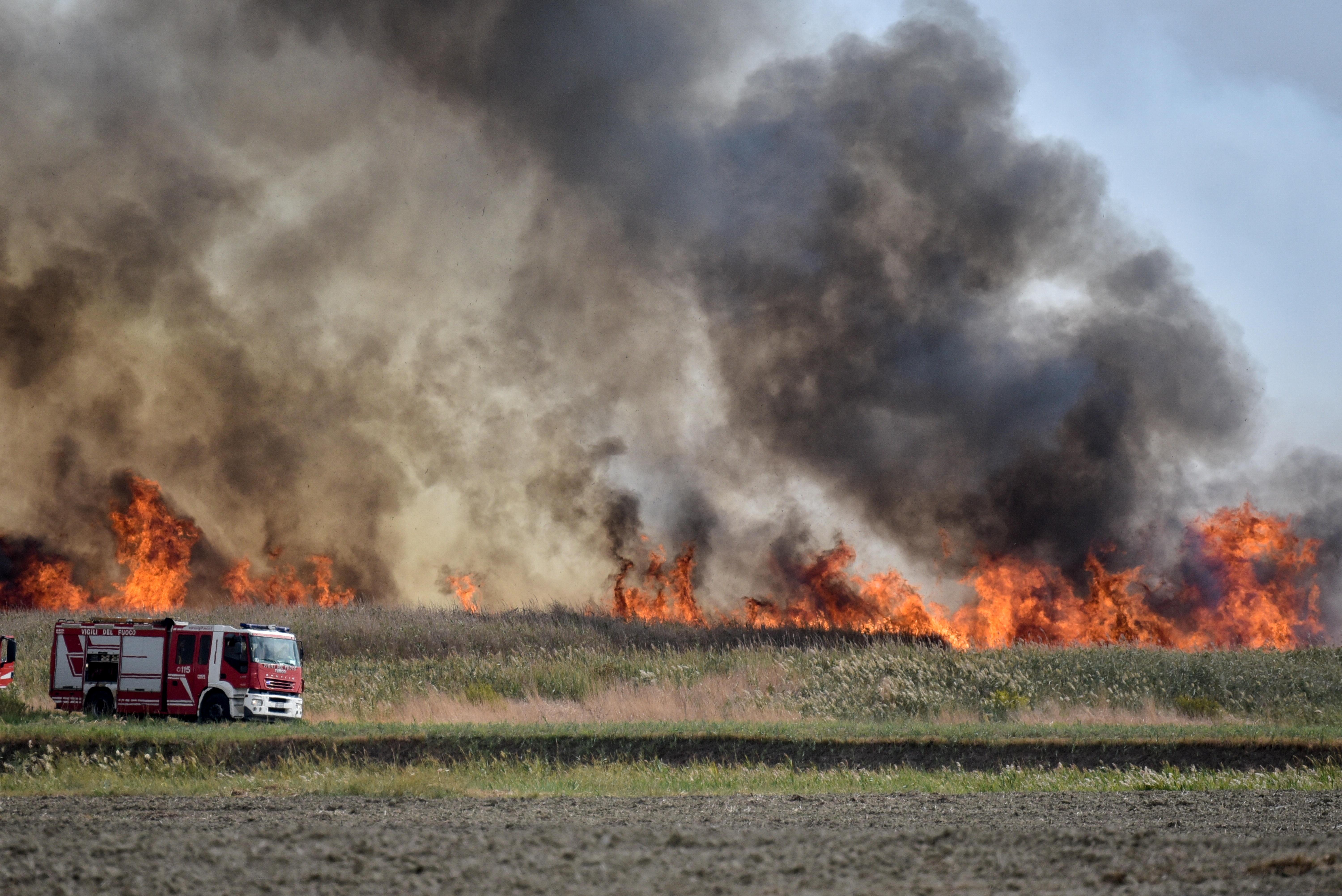 Le fiamme che hanno sfiorato il Centro veterinario militare lungo la strada Castiglionese, nella mattinata di giovedì 21 ottobre (Foto AgenziiaBF)
