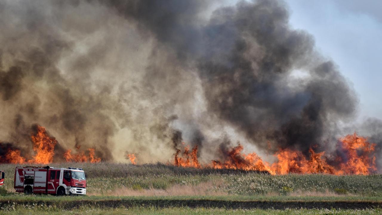 Le fiamme che hanno sfiorato il Centro veterinario militare lungo la strada Castiglionese, nella mattinata di giovedì 21 ottobre (Foto AgenziiaBF)