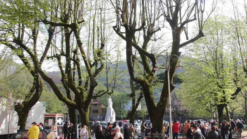 Vocaturo lascia il comitato per gli alberi di piazza Statuto