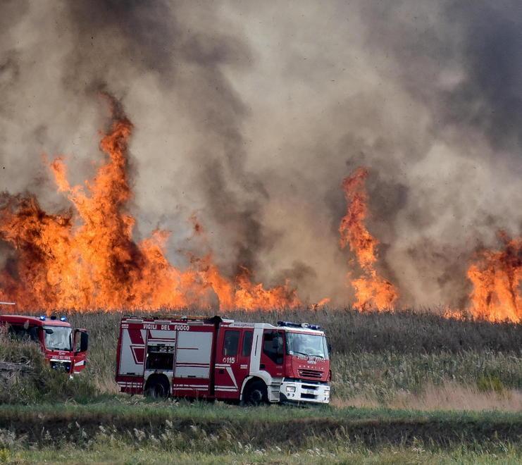 Fuoco al Cemivet, danni alle recinzioni perimetrali Sopralluogo dei vigili 