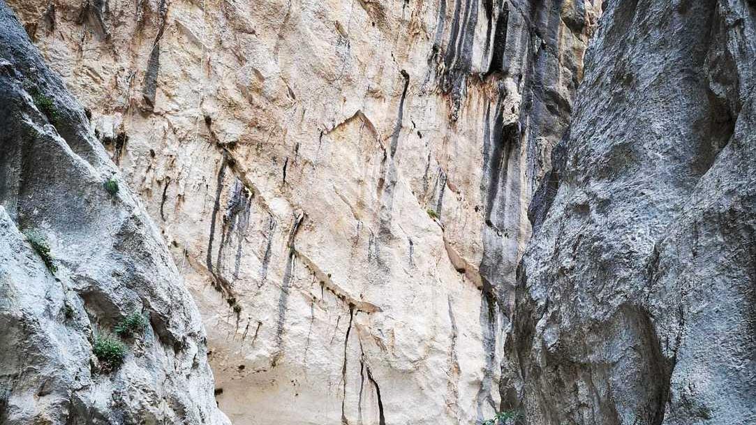 Il Gal guarda alla Corsica e studia un Gr 20 Ogliastra
