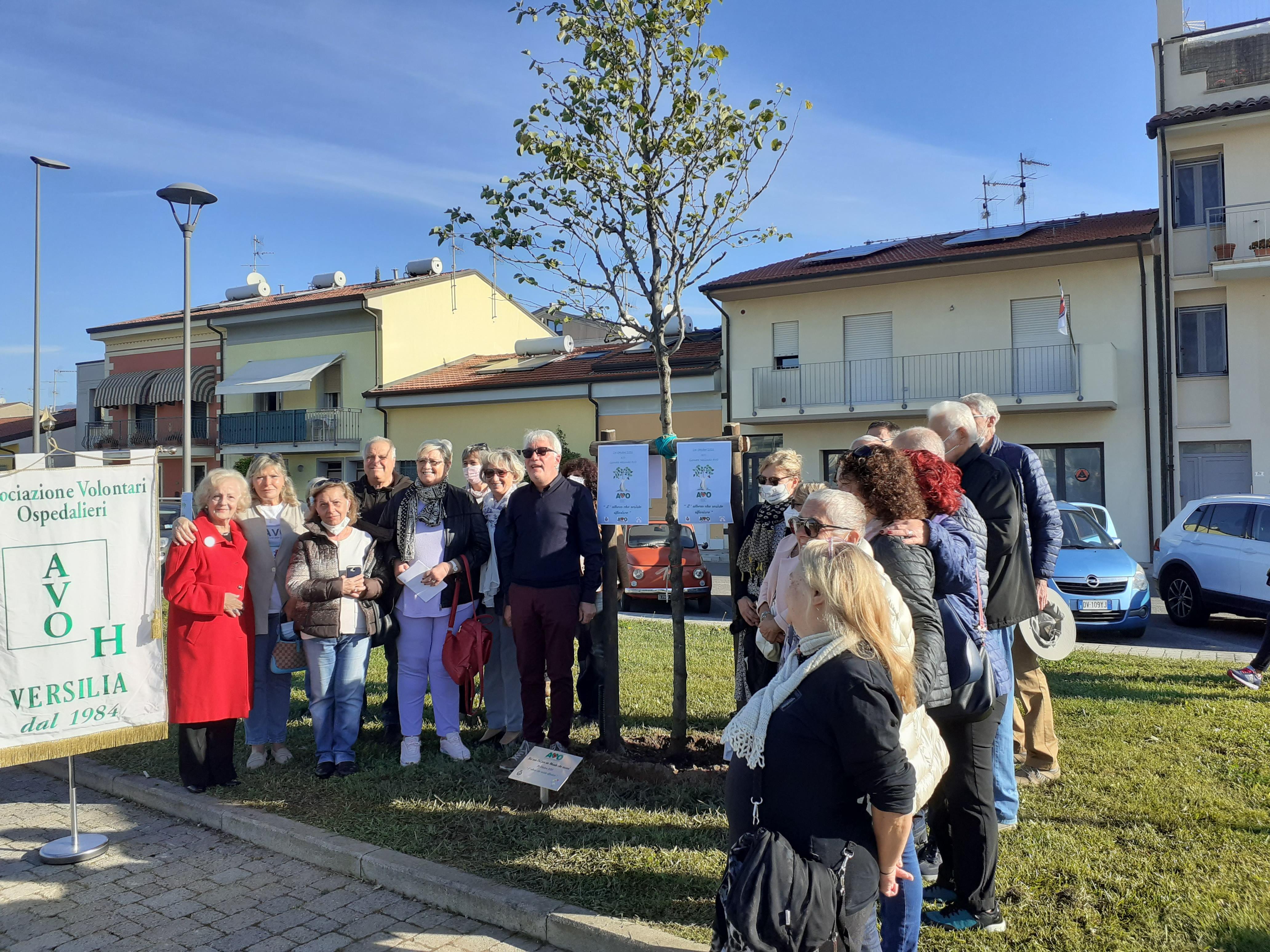 Strage di Viareggio, in via Ponchielli c’è un albero del ricordo in più 