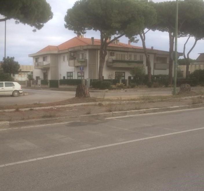 Svincolo alla zona artigianale Otto pini verranno abbattuti