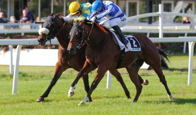 Danny Ocean si aggiudica il “Sir Ivor” al fotofinish 