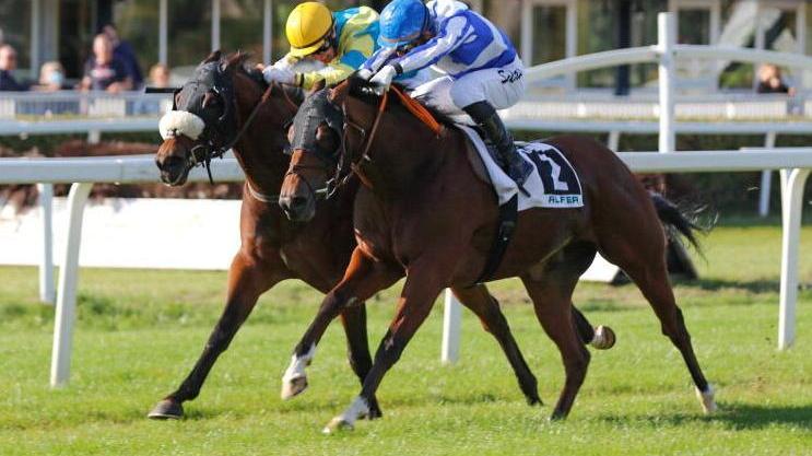 Danny Ocean si aggiudica il “Sir Ivor” al fotofinish