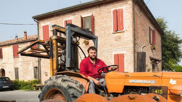 È tempo di zucche La produzione ha risentito delle bizze del clima