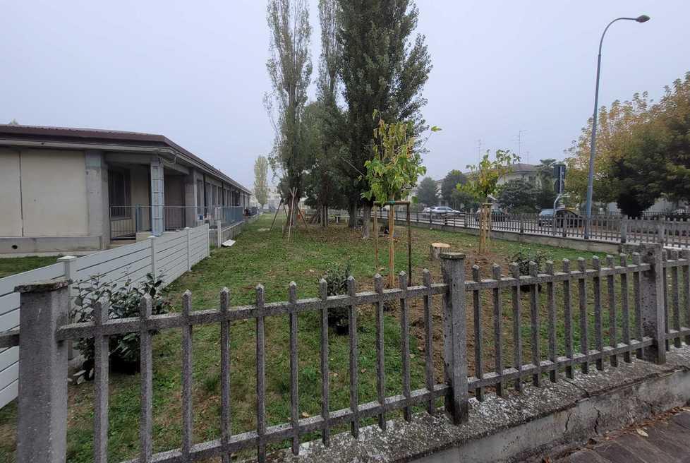 Verde e meno zanzare Il giardino del nido a misura di bambino 
