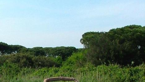 Autunno Slow a pieno ritmo L’ambiente al suo meglio