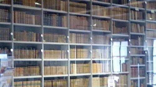 “Tante Care Cose” Così le biblioteche si rianimano