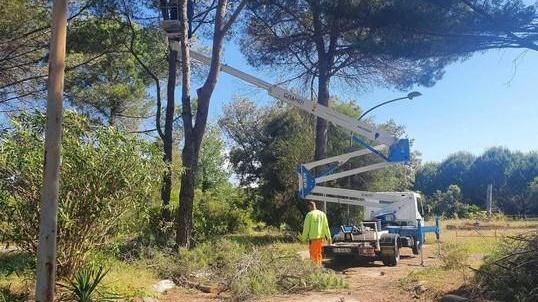 Ex Ciclilandia e anfiteatro di Calambrone: primi passi per i progetti di recupero