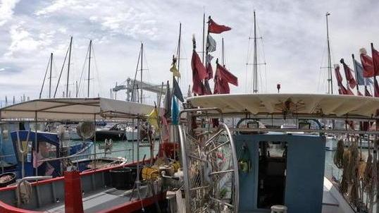 Pesce, acqua e gusto «Itinerari del futuro»