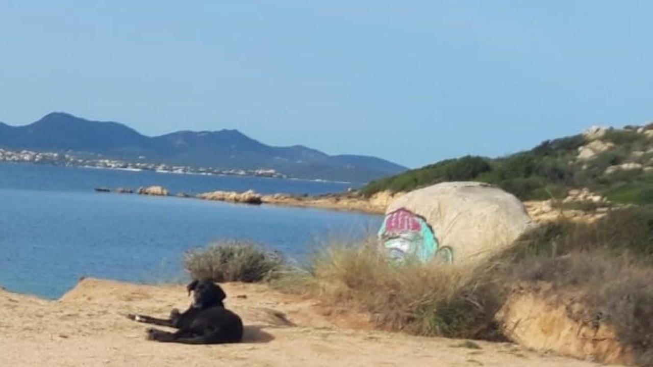 I vandali in spiaggia sfregiano gli scogli 