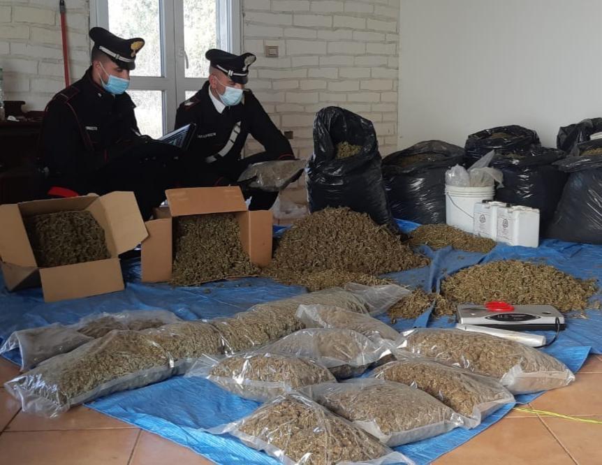 Villasor, altri due produttori di marijuana finiscono in manette