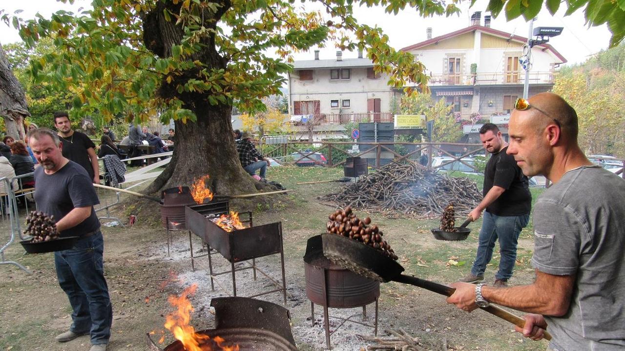 Montecreto celebra la festa della castagna: 30 e 31 ottobre stand gastronomici e mercatini