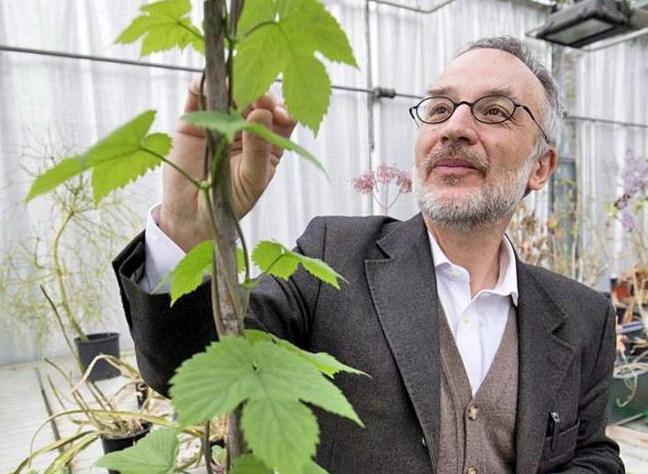“Abbraccia un albero” il padiglione ecologico di Unicoop Firenze