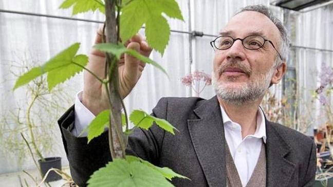 “Abbraccia un albero” il padiglione ecologico di Unicoop Firenze
