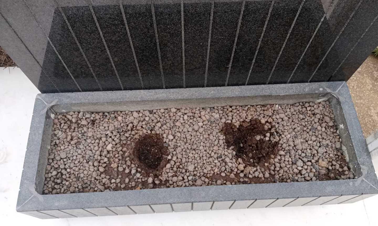 Ladri di fiori in azione al cimitero